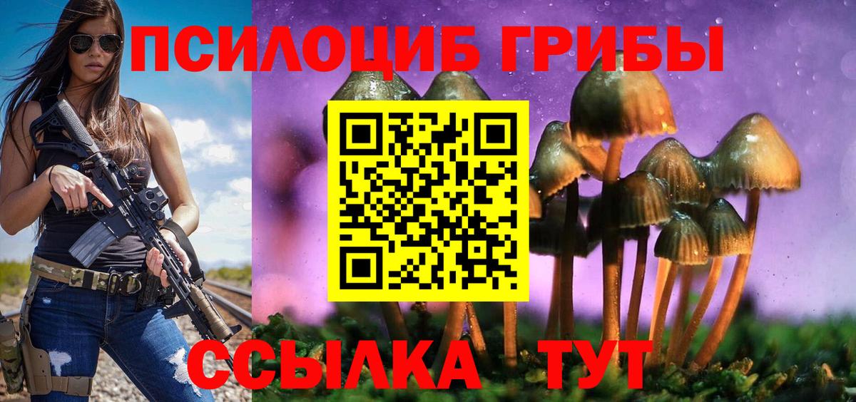 Галлюциногенные грибы Cubensis  Псилоцибиновые грибы прущие грибы  Вход с VPN  Крымск 